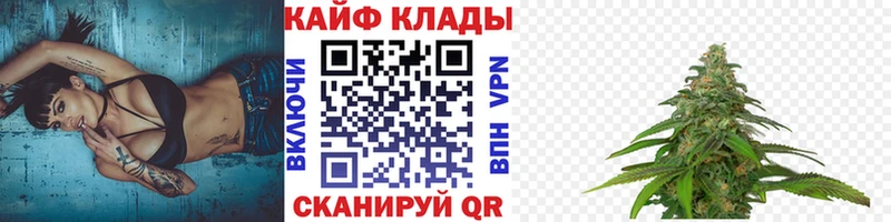 Где купить наркоту Отрадная Марихуана  Галлюциногенные грибы  A-PVP  ГАШ  COCAIN  Мефедрон 