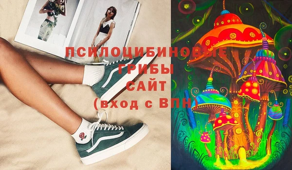 прущий лед Алзамай