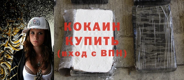 прущий лед Алзамай