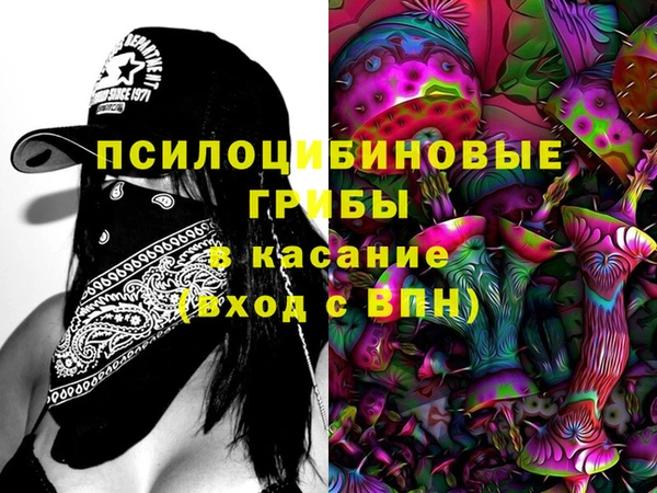 стафф Алексин