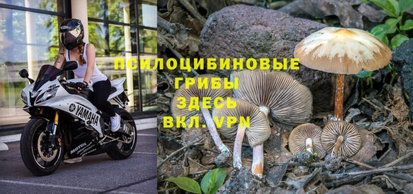 круглые Алексеевка
