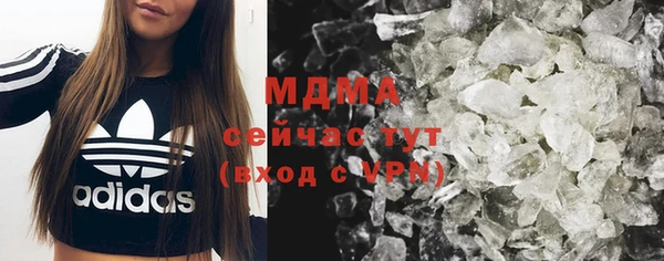 стафф Алексин